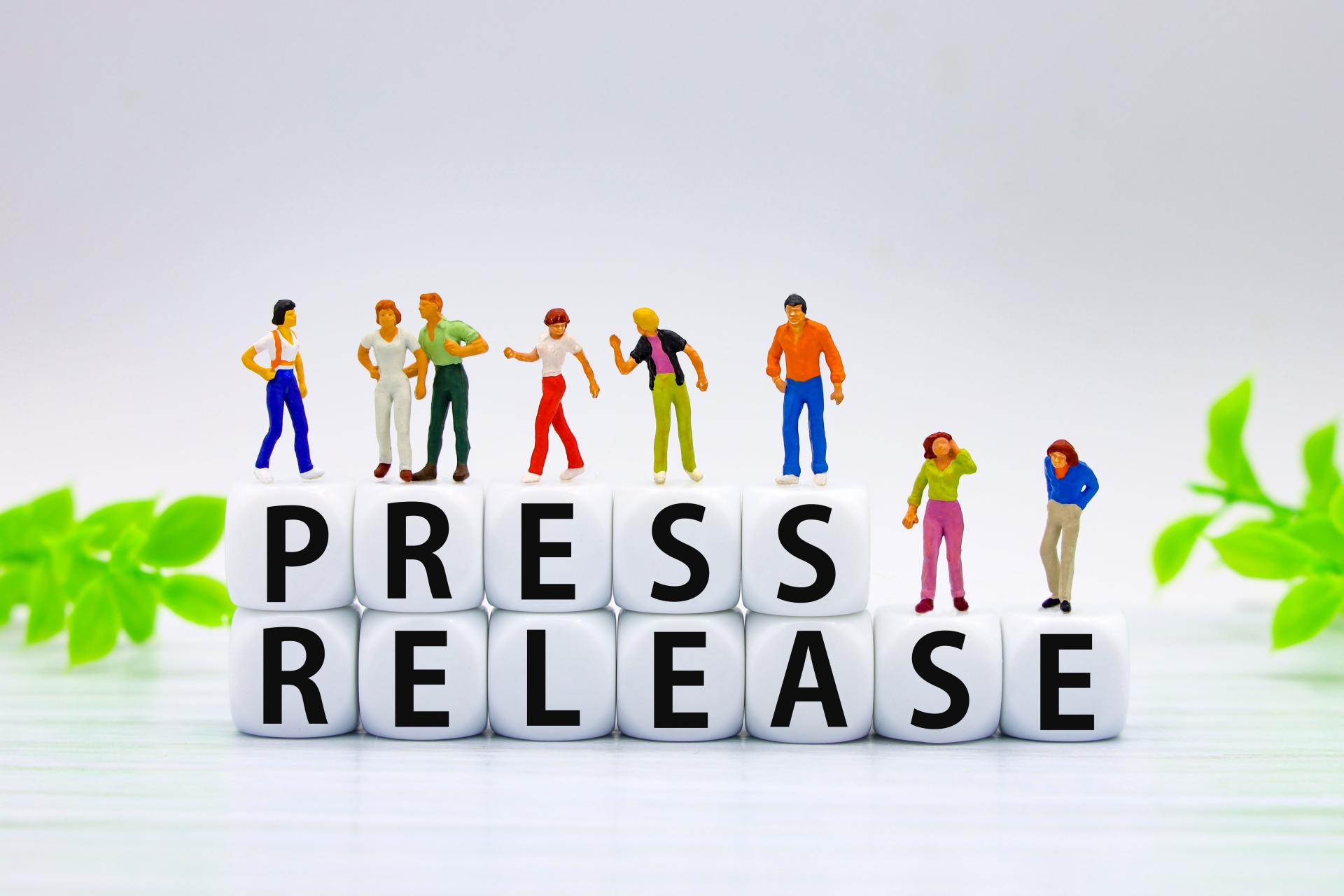 プレスリリースを配信|WordPress無料診断サービスの提供を開始しました